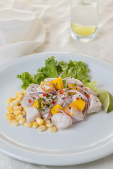 Ceviche, typical fish-based dish of Peruvian cuisine on white plate.