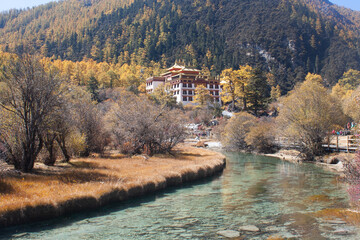 Obraz premium Chonggu meadow, Yading National Nature Reserve 