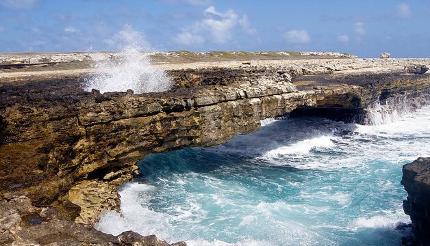 Rock Arch Devil's Bridge, East Coast, Antigua Barbuda