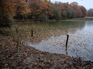 Wandern in deutsch-niederländischen  grenzgebiet