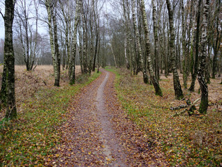 Wandern in deutsch-niederländischen  grenzgebiet