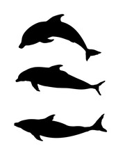 silhouettes of dolphins