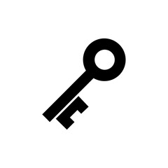 key glyph fill icon vector
