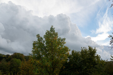 Gray clouds in the sky over green forest