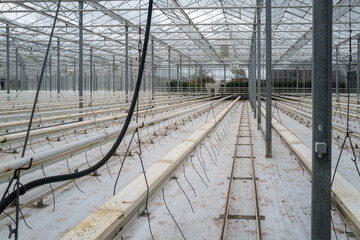 Leeres Gew&auml;chshaus