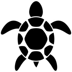 Obraz premium Turtle Vector Clipart
