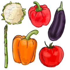 Fruit drawings in color without background in PNG, tropical fruits in color, resources for isolated graphic design