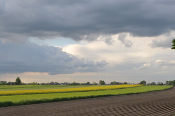 landscape with a field and clouds