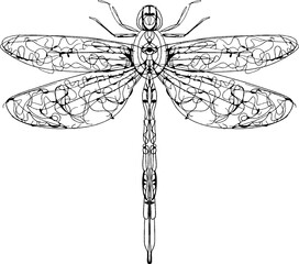 Vector linework sketchy insects for biology content, tattoos, t-shirt designs and other uses