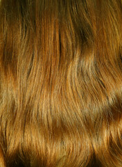 Hair texture close up golden brown honey color, closeup view of bunch of shiny straight brown hair in wavy curved style.