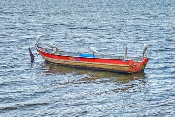 Naklejka na ściany i meble Several egrets perched on a small fishing boat at the edge of the lagoon