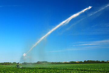 A large sprinkler shoots out a plume of water as it waters a large farm and crops on a summer day