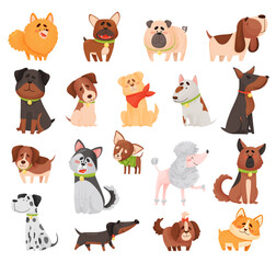 Obraz na płótnie Canvas Cute Dogs and Puppy Pets of Different Breed Big Vector Set