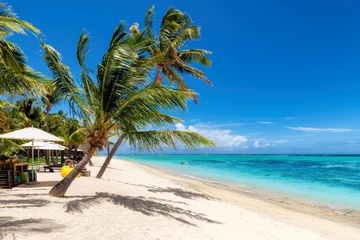 Photo sur Plexiglas Le Morne, Maurice Exotic coral beach with palm trees and and tropical sea in Mauritius island. Summer vacation and tropical beach concept. 