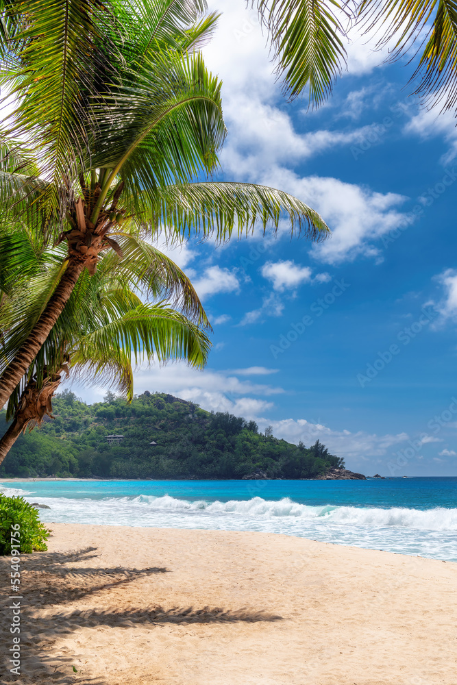 Wall mural beautiful tropical beach with palms and turquoise sea in jamaica island. summer vacation and tropica