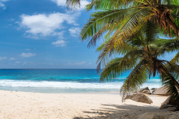 Fototapeta na wymiar Sunny tropical beach with palms and the turquoise sea on Caribbean island. Summer vacation and tropical beach concept.