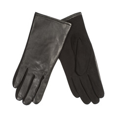 Close-up of stylish female black gloves isolated on white background.