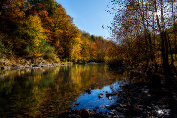 Fototapeta premium Fall along the stream South Branch