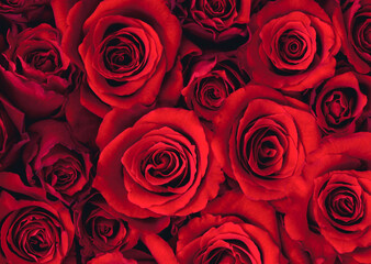 Background of bouquets of flowers. Roses. Design. Close up.