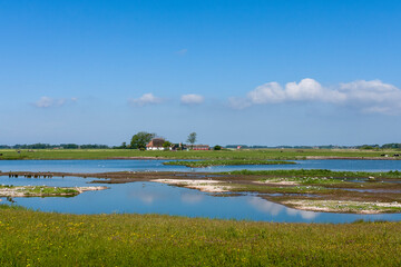Landscape at Texel