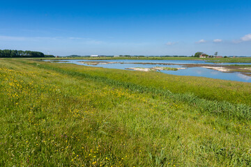 Fototapeta na wymiar Landscape at Texel