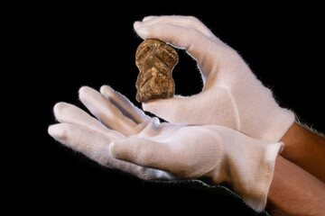 Giant Deer Bone, 'Megaloceros', with Neanderthal engraving, Harz Mountains, Germany