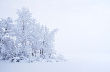 Snow covered trees and rocks. Winter landscape on the lake shore.