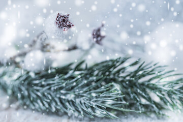 Christmas decoration with fir branch and snow flakes