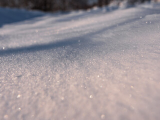 snow glisten in the sun close-up. pure white snow on the forest road. snowflakes.