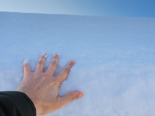 a person touches the snow with his hand. palm in the snow. frosty winter weather during the walk. touch the first snow.