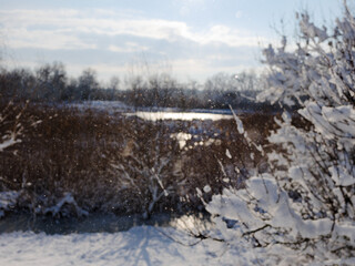 small grains of snow on the background of a blurred image of a natural landscape. the background is out of focus. small specks of snow glistening in the sun on the background of a blurred natural land