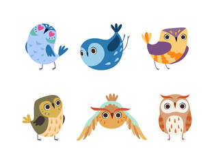 Cute Little Owl with Colorful Plumage as Woodland Nocturnal Bird Vector Set