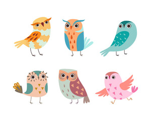 Cute Little Owl with Colorful Plumage as Woodland Nocturnal Bird Vector Set