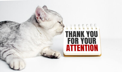 Thank Your For Your Attention and grey cat with white notebook