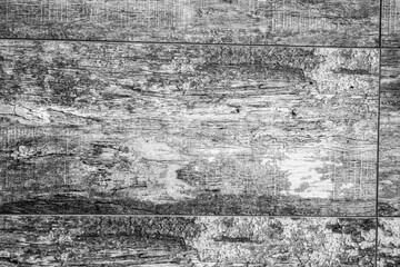 texture old tree. wood surface. old wood planks background