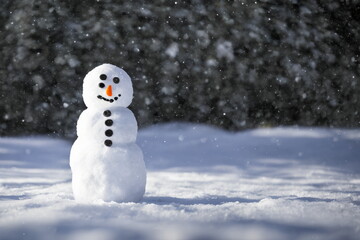 Realistic illustration of snowman outdoors, generative ai