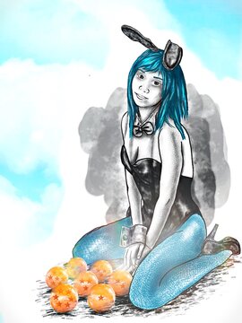 Bunny bulma with dragonballs
