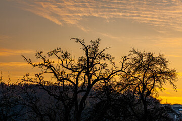 Black and White und ein bisschen Farbe
