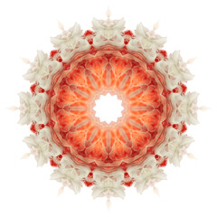 Round beautiful fractal orange pattern. Mandala made of paint similar to the sun and an orange. Mosaic of ink in water.