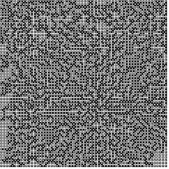 Albert-Laszlo Barabasi algorithm network visualization implementation illustration