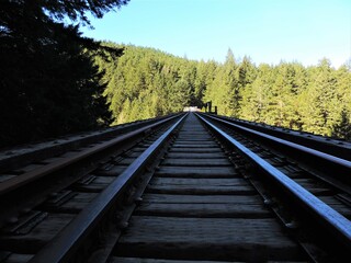 Fototapeta premium las vías olvidadas 