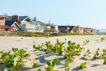 Houses that are set amid coastal sand dunes. Beautiful houses with ocean views in a small beach...