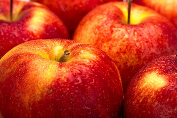Red Apples Texture