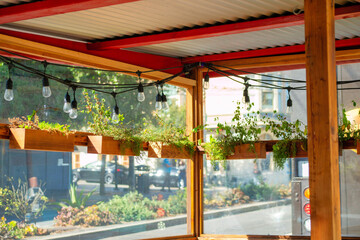 Hanging garden in a courtyard with gazebo and hanging plants and lights with urban or suburban city background in late afternoon