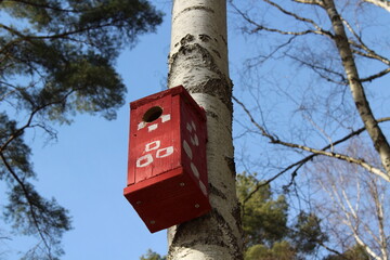 bird nest on a tree