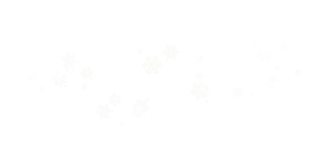Snow background, a scattering of white snowflakes on a transparent background. PNG