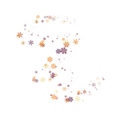 Multicolored gold snowflakes on a transparent background. Snow blizzard, winter background. PNG