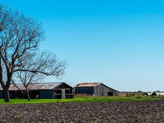 Old abandon barn and hen house