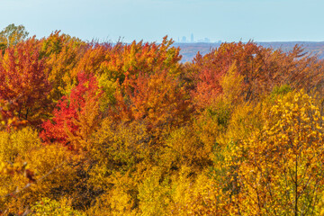 Autumn in Cleveland, Ohio