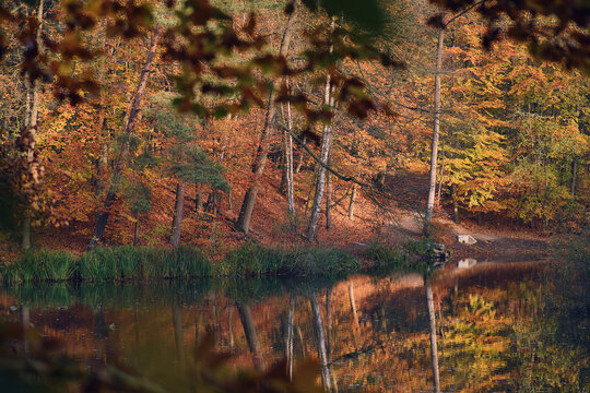 autumn day at the lake in elmshorn. High quality photo